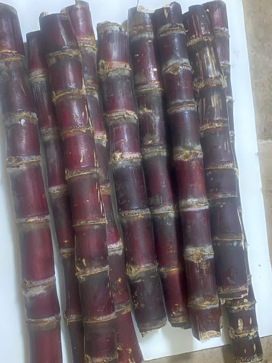 Red Sugarcane