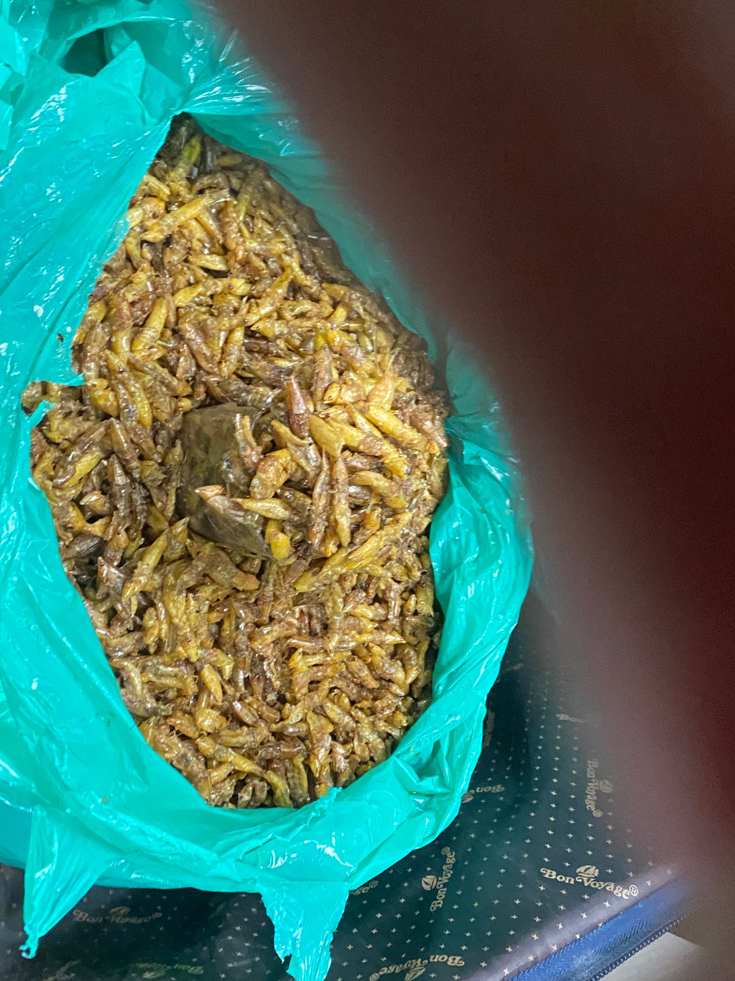 Nsenene/ Grasshoppers