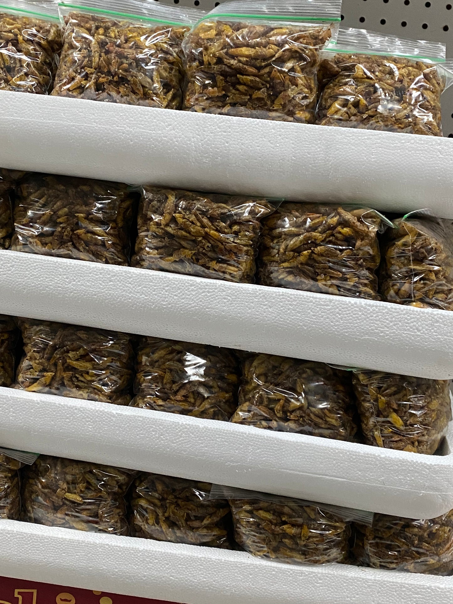 Nsenene/ Grasshoppers